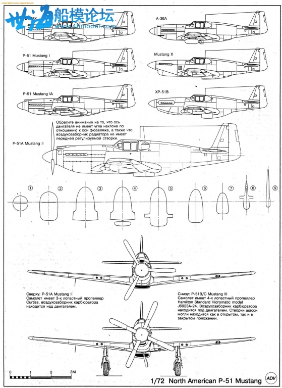 P51 (10).jpg